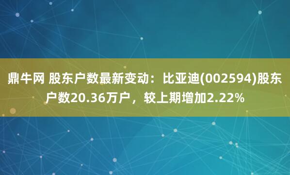 鼎牛网 股东户数最新变动：比亚迪(002594)股东户数20.36万户，较上期增加2.22%