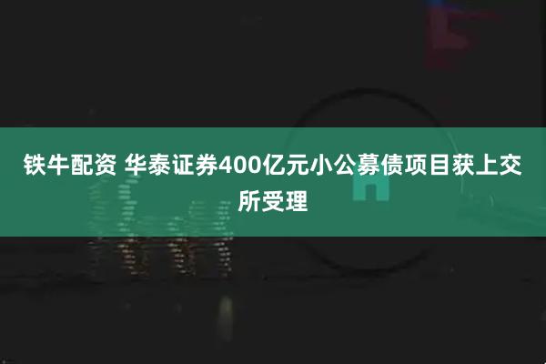 铁牛配资 华泰证券400亿元小公募债项目获上交所受理