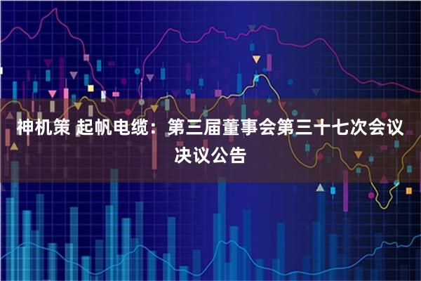 神机策 起帆电缆：第三届董事会第三十七次会议决议公告